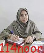 کشت چغندر در ۳۰ هکتار از اراضی کشاورزی گچساران کشت چغندر در ۳۰ هکتار از اراضی کشاورزی گچساران