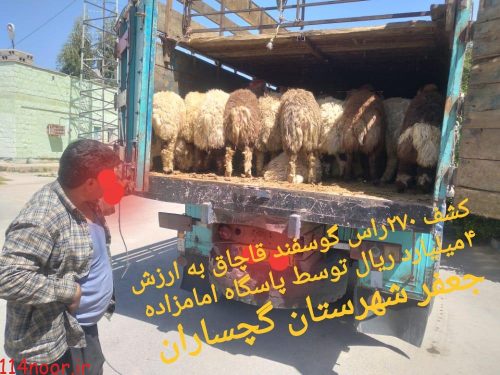 قاچاقچیان احشام میلیاردی دستگیر شدند