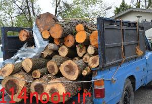 کشف ۲۰ تن چوب قاچاق در گچساران کشف ۲۰ تن چوب قاچاق در گچساران