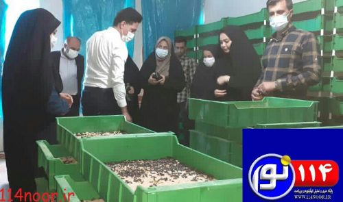 بازدید تیم تسهیلگری از روند اجرای طرح پرورش کرم میلورم در روستاهای گچساران بازدید تیم تسهیلگری از روند اجرای طرح پرورش کرم میلورم در روستاهای گچساران