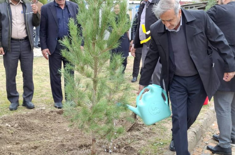 به مناسبت هفته درختکاری صورت گرفت : کاشت ۳۳ درخت به یادمان شهدای شرکت نفت گچساران
