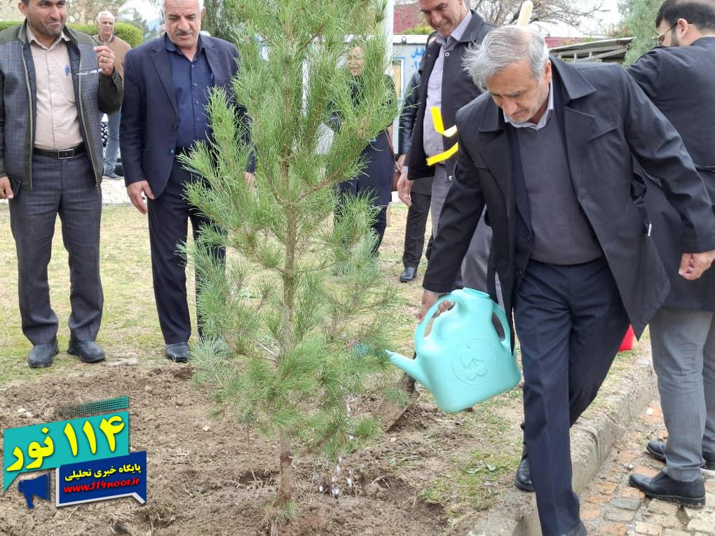 به مناسبت هفته درختکاری صورت گرفت : کاشت ۳۳ درخت به یادمان شهدای شرکت نفت گچساران
