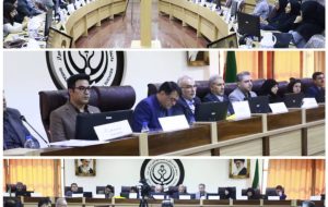 حضور معاون آموزشی دانشگاه علوم پزشکی یاسوج در نشست هم‌اندیشی معاون آموزشی وزارت بهداشت و رئیس دانشگاه علوم پزشکی شیراز