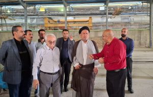 بازدید نماینده مردم کهگیلویه، بهمئی، چرام و لنده از کارخانه آجر دهدشت