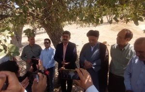 بازدید حجت‌الاسلام موحد و فرماندار چرام از روستای گره ای و جاده چاسخا