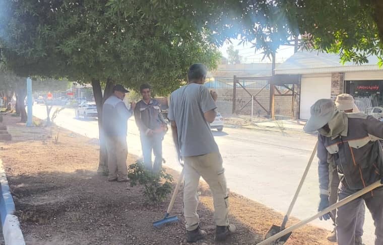 آغاز عملیات بازپیرایی فضای سبز معابر،پارکهابلوارها و بوستان‌ها